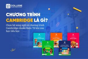 Gia sư dạy Starters Movers Flyers chương trình Cambridge