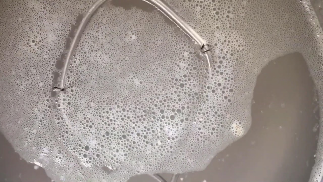 Lực căng bề mặt là gì và ứng dụng thực tế Lực căng bề mặt là gì và ứng dụng thực tế