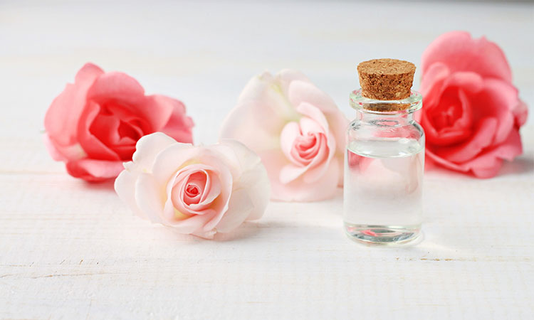 Shop mỹ phẩm ở Phan Rang – Top 5 địa chỉ đắt khách nhất